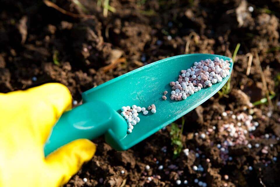 Agentes quelantes: uma força chave para uma produção agrícola sustentável e eficiente