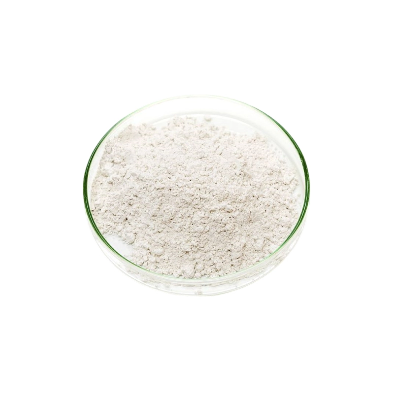 L Ácido Aspártico (L Ácido Aspártico)