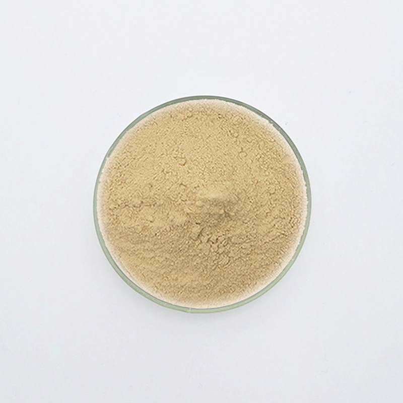 Retardador de Gesso Aminoácido Resistente ao Alcalino WN-701