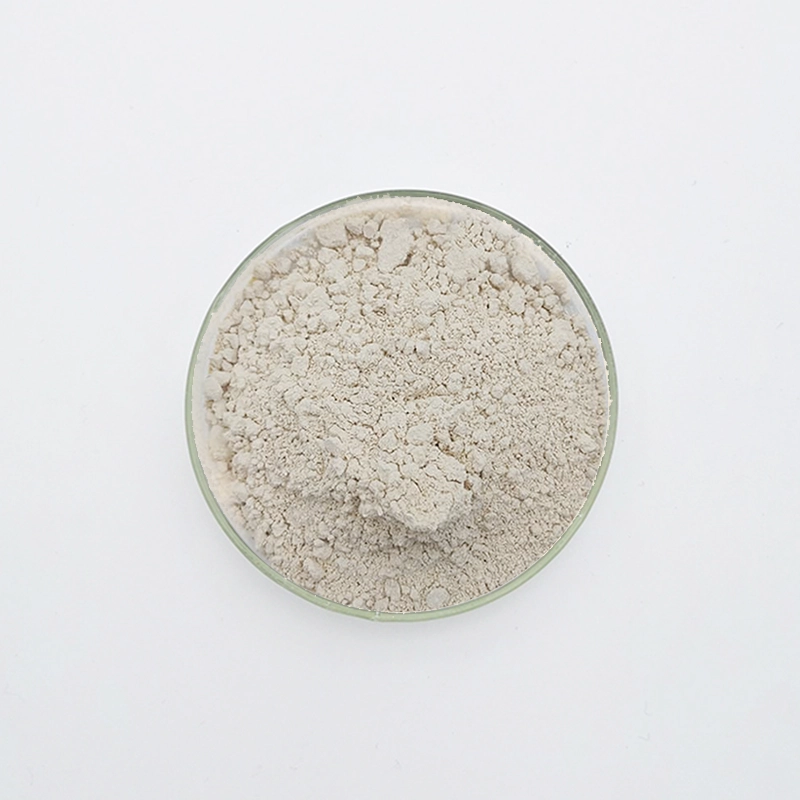 WN-721 Retardador de gesso (WN-721)